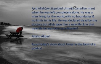 umar dfdfsedwqdwredfr